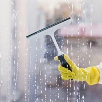 arry services , home cleaning